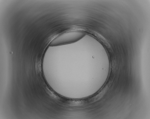 X0000111821177200909031444