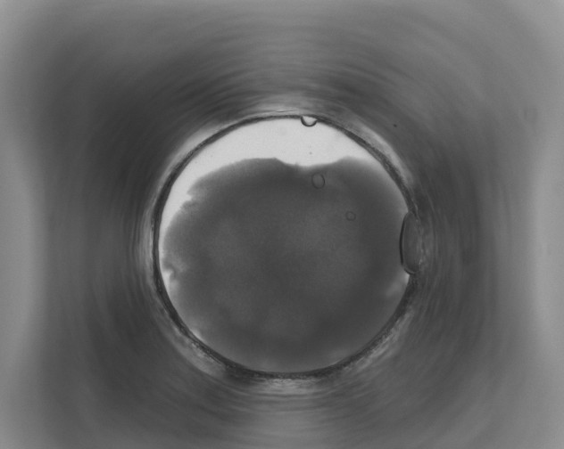 X0000111821179200909031444