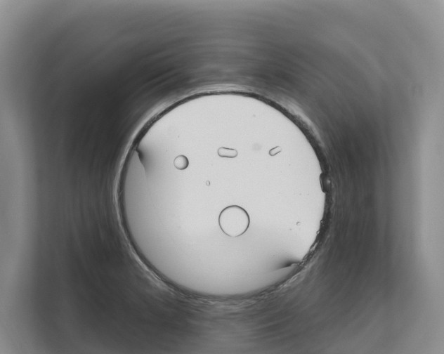X0000111821181200909031444