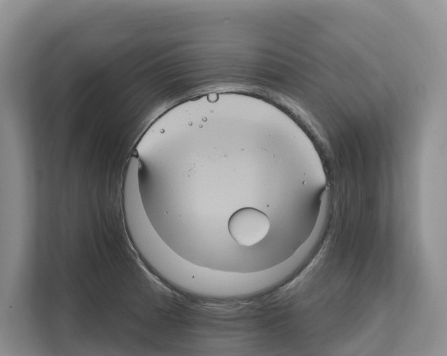 X0000111821185200909031444