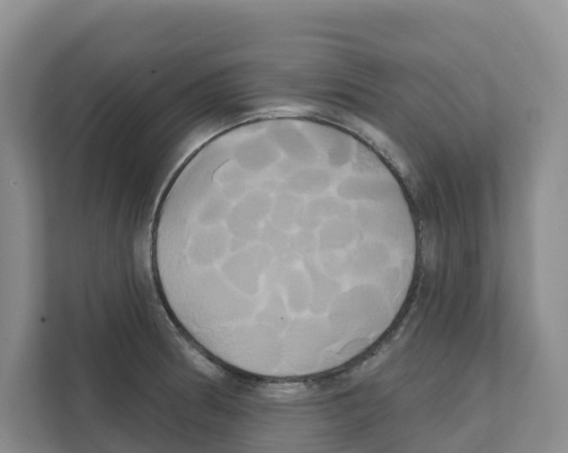 X0000111821186200909031444