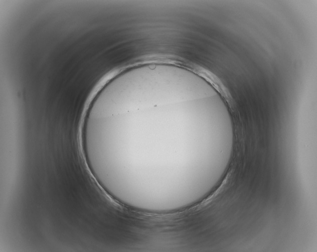 X0000111821188200909031444