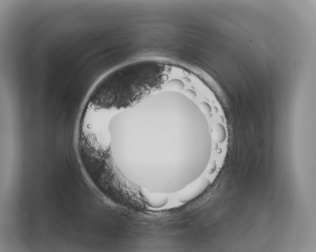 X0000111821191200909031444