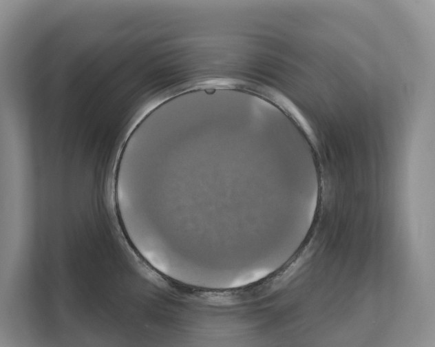 X0000111821194200909031444