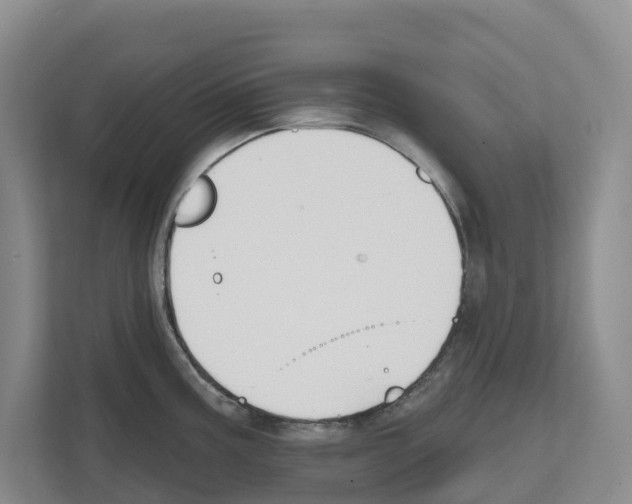 X0000111821195200909031444