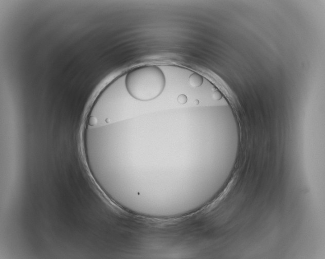 X0000111821196200909031444
