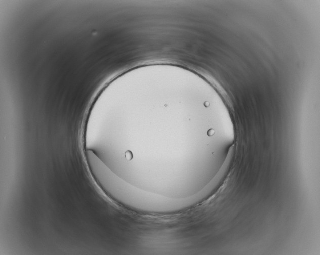 X0000111821197200909031444