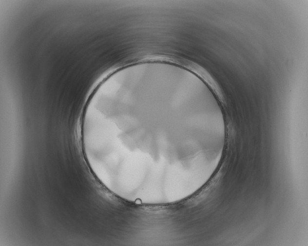 X0000111821198200909031444
