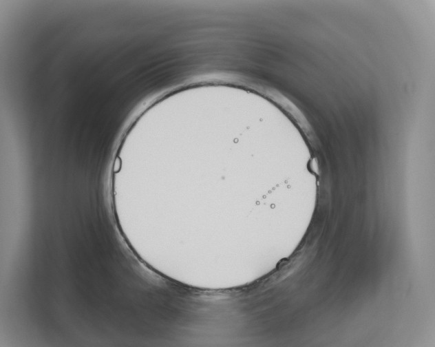 X0000111821199200909031444