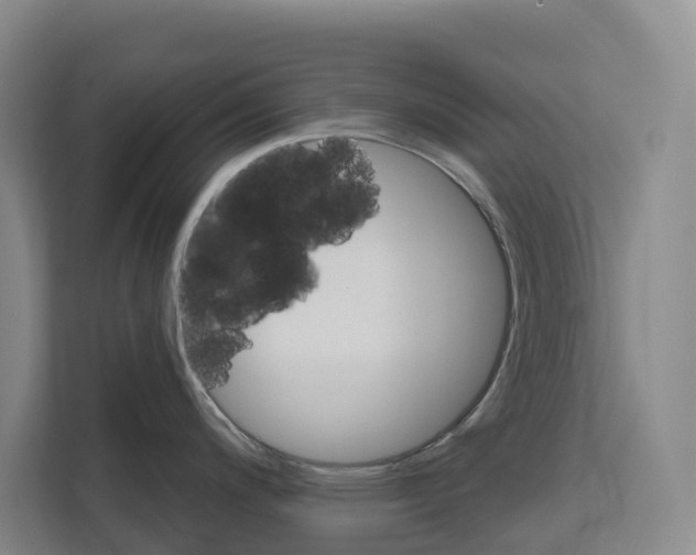 X0000111821200200909031444