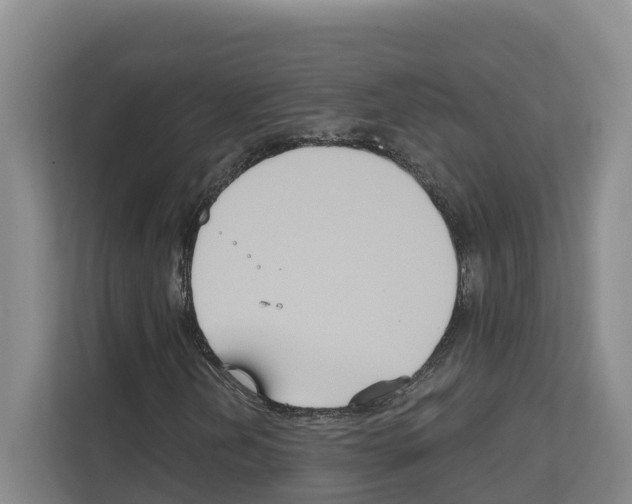 X0000111821202200909031443