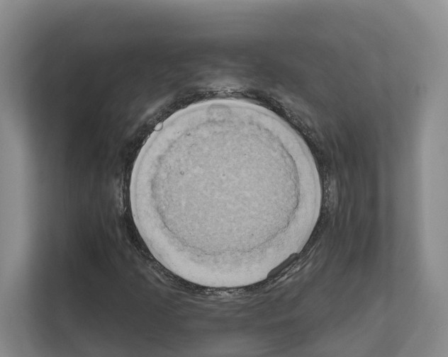 X0000111821205200909031443