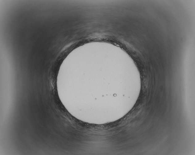 X0000111821206200909031443