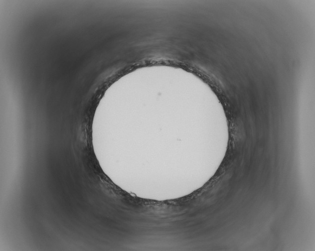 X0000111821207200909031443