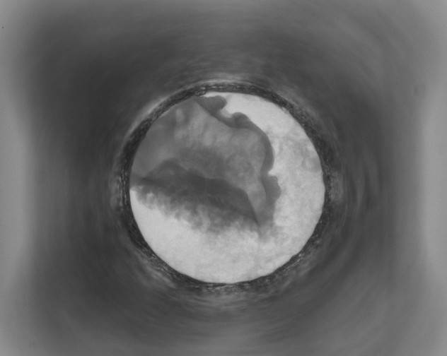 X0000111821208200909031443