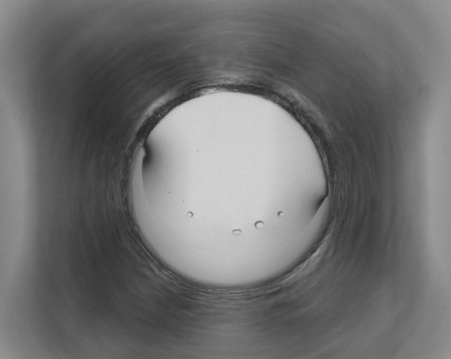 X0000111821210200909031444