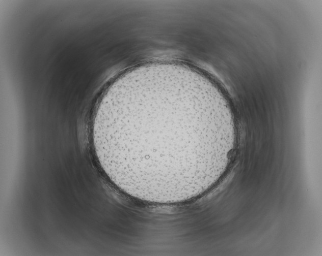 X0000111821211200909031444