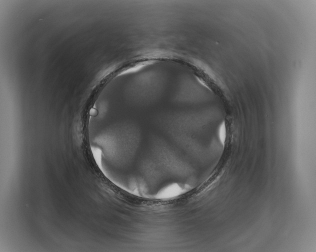 X0000111821213200909031444