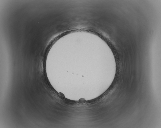 X0000111821214200909031444
