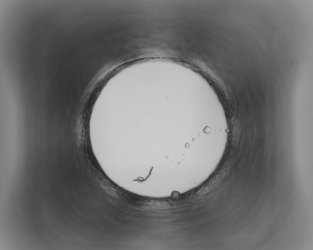 X0000111821215200909031444