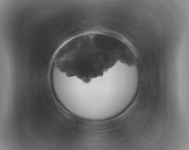 X0000111821216200909031444