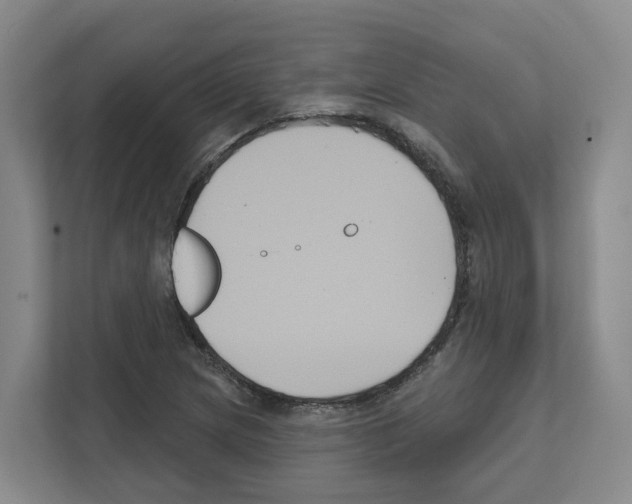 X0000111821217200909031444
