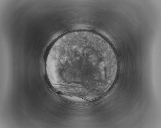 X0000111821219200909031444