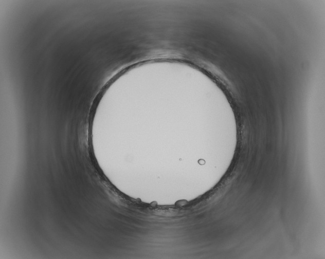 X0000111821220200909031444