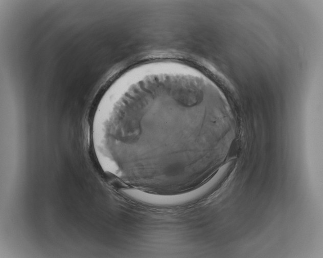 X0000111821221200909031444
