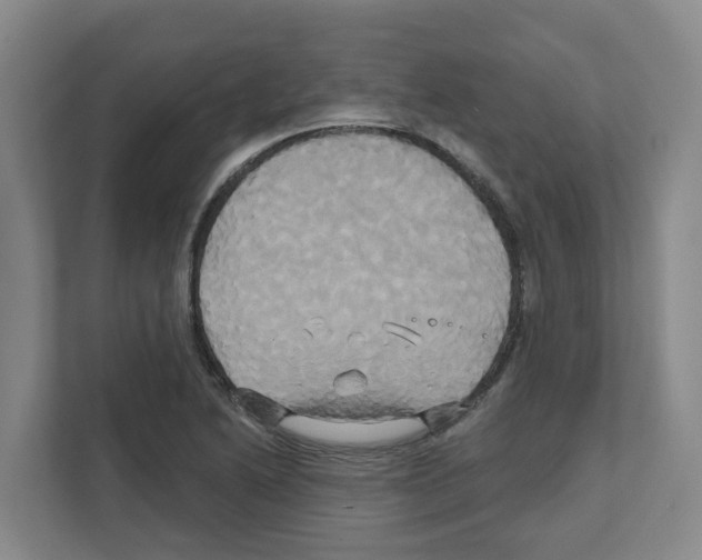 X0000111821222200909031444