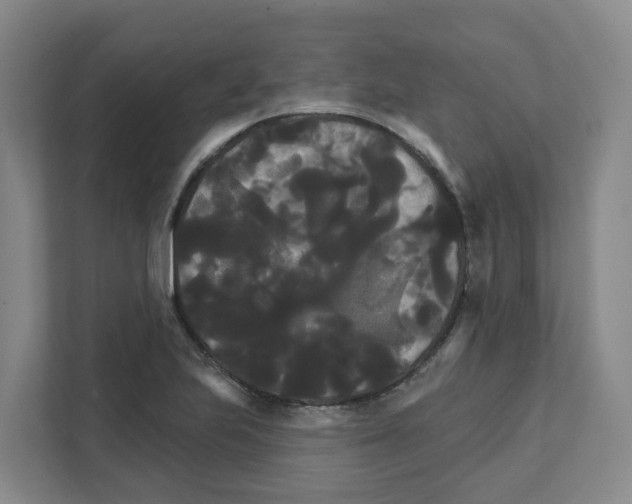 X0000111821223200909031444