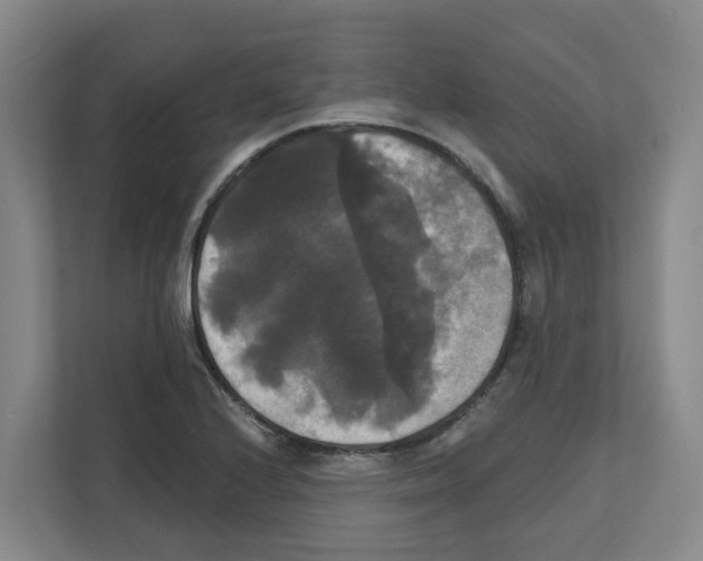 X0000111821224200909031444