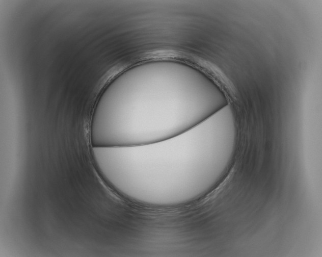 X0000111821225200909031444