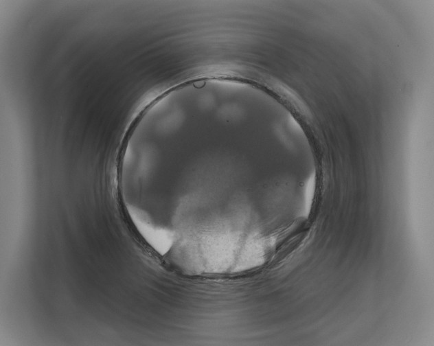 X0000111821226200909031444