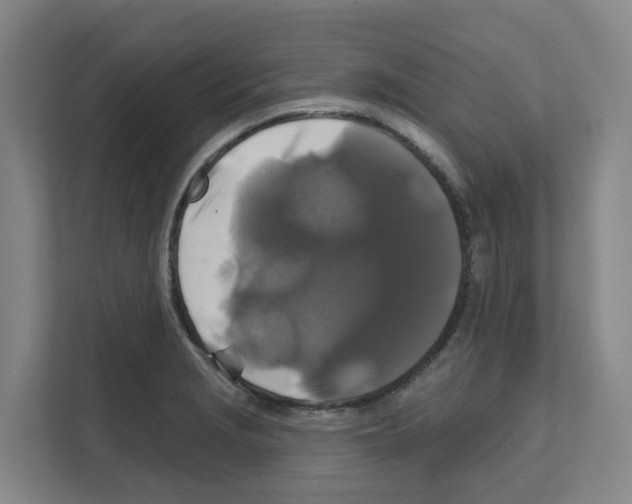 X0000111821229200909031444
