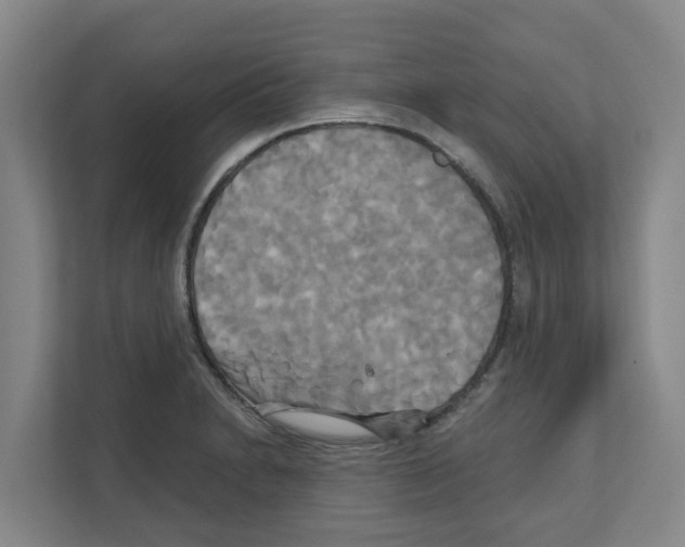 X0000111821230200909031444