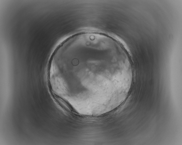X0000111821231200909031444