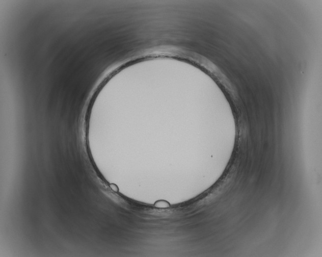 X0000111821232200909031444