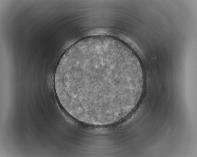X0000111821233200909031444