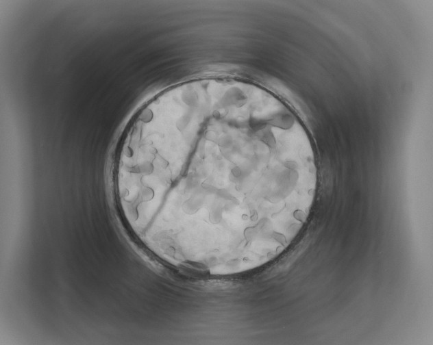 X0000111821235200909031444