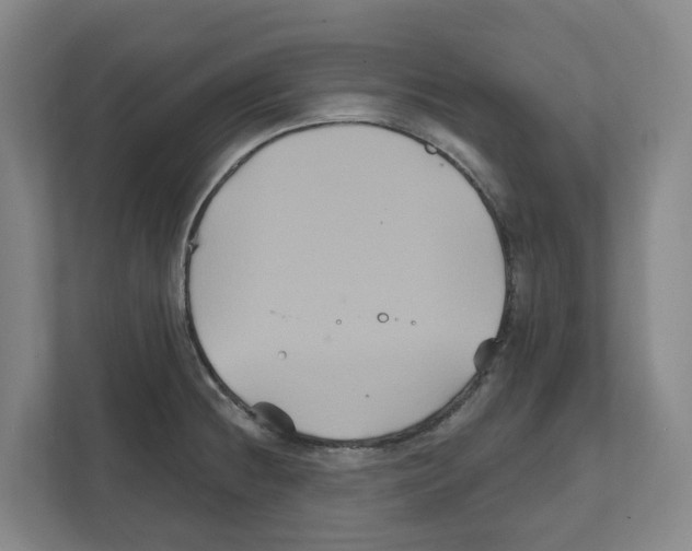 X0000111821236200909031444