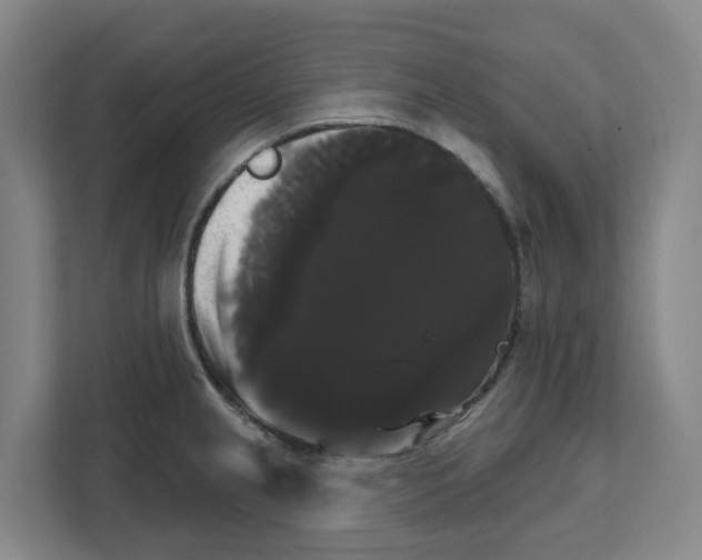 X0000111821237200909031444
