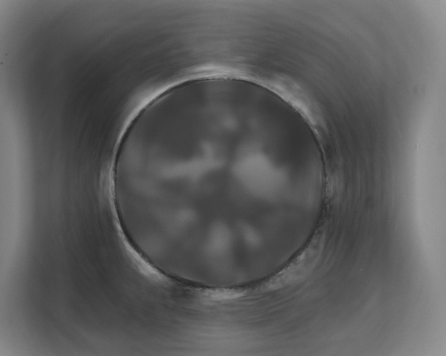 X0000111821239200909031444