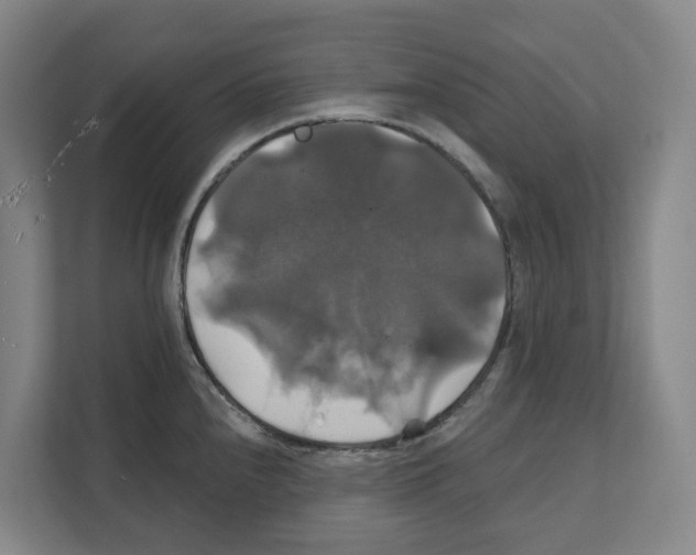 X0000111821240200909031444