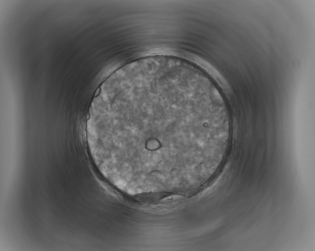 X0000111821241200909031444