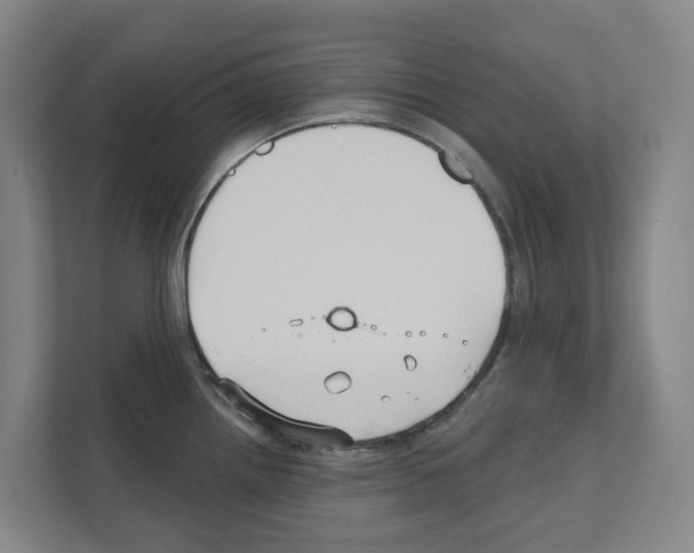 X0000111821242200909031444