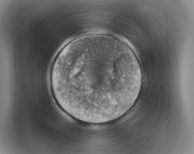 X0000111821243200909031444