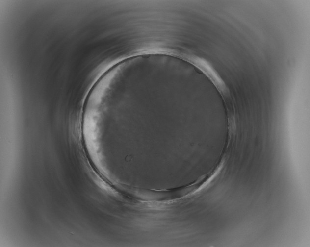 X0000111821244200909031444