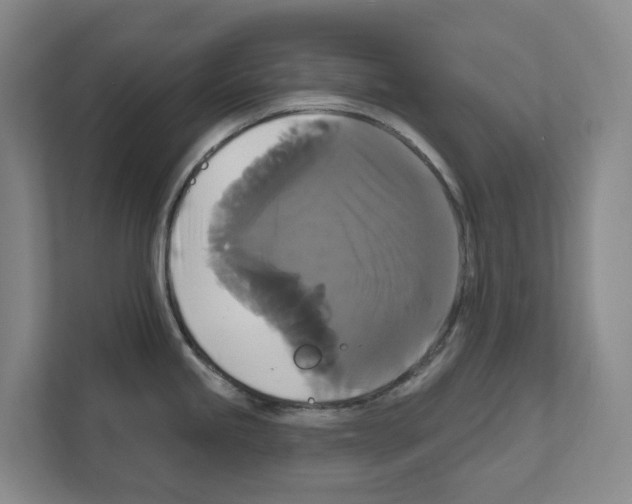 X0000111821245200909031444