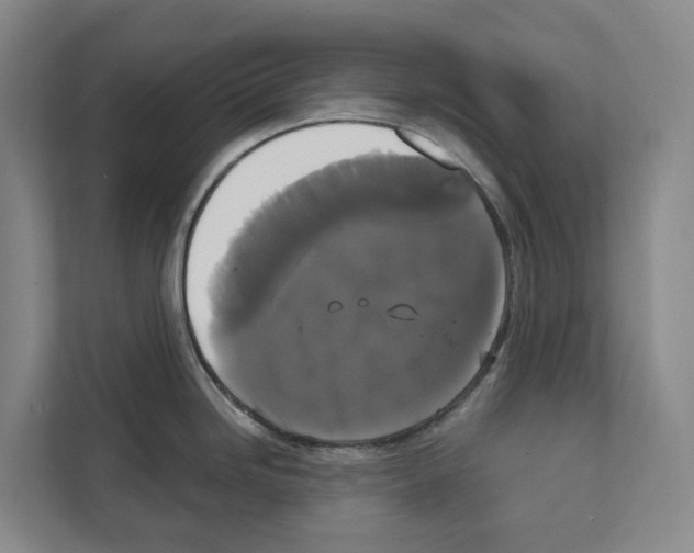 X0000111821246200909031444